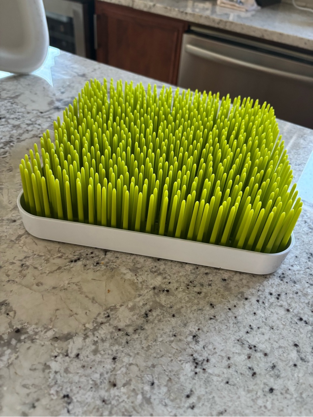 Grass Dish Drying Rack - Lime Green